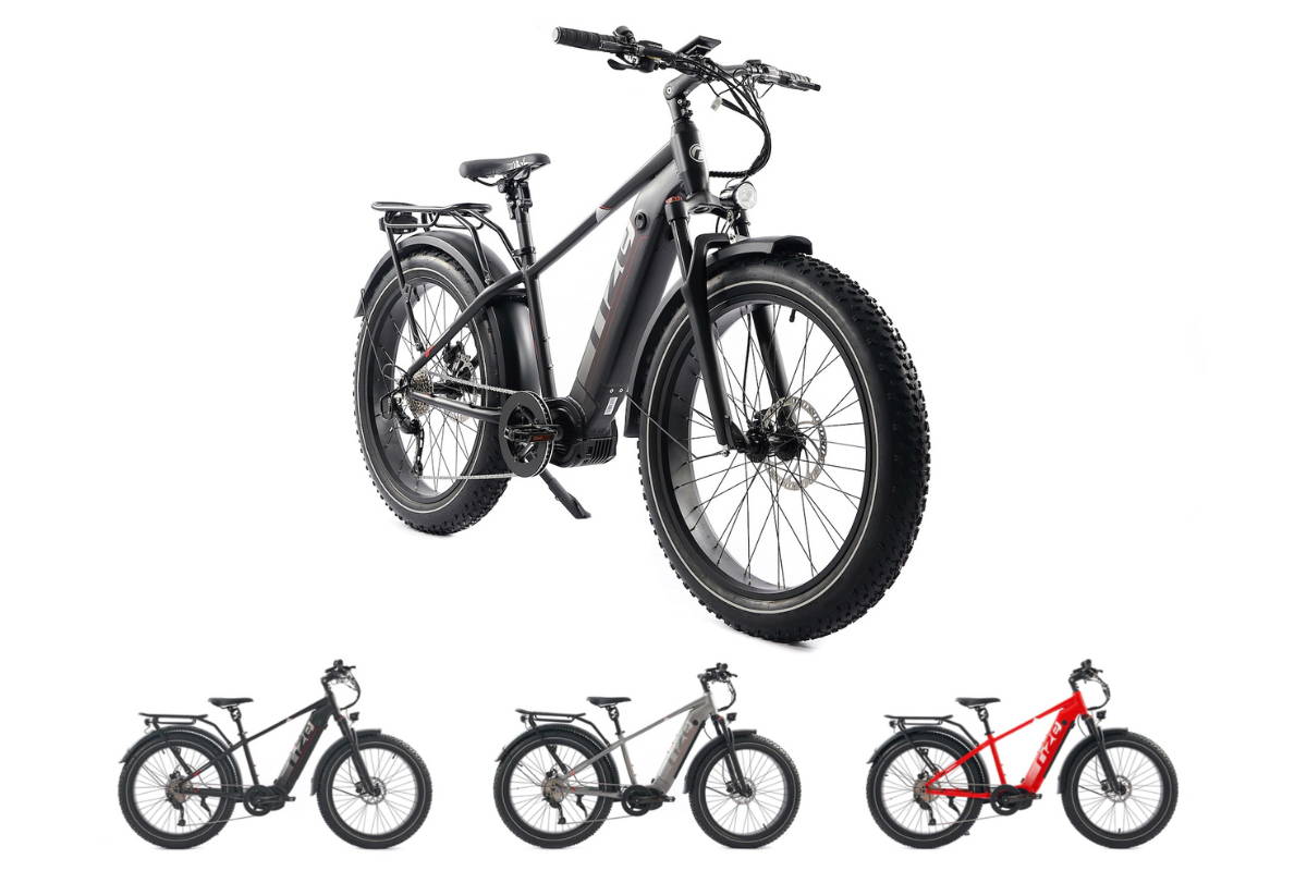 Best Electric Bikes Canada Rize Bikes Canada